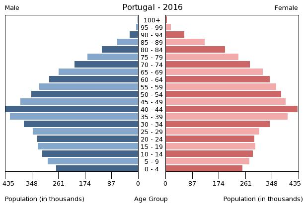 Population pyramid (2016)