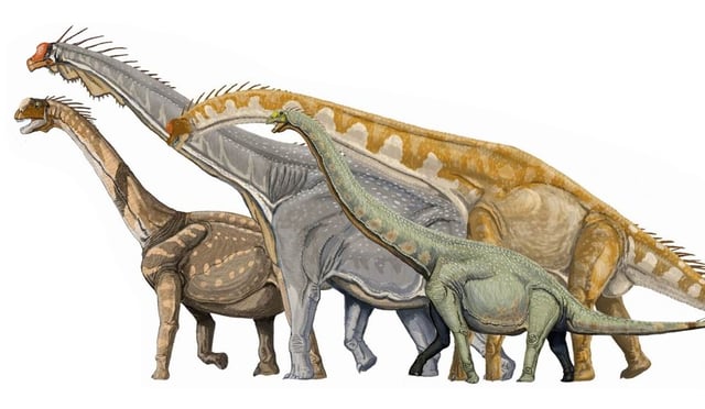Artist's impression of four macronarian sauropods: from left to right Camarasaurus, Brachiosaurus, Giraffatitan, and Euhelopus