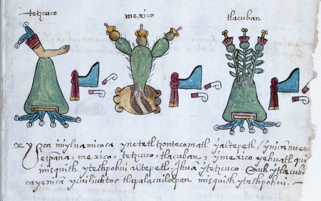 The central image in this extract from the Codex Osuna of 1565 shows an opuntia used as a symbol for Tenochtitlan (now in Mexico City)