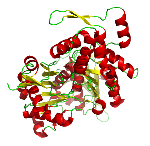 The protein gelsolin, which is a key regulator in the assembly and disassembly of actin. It has six subdomains, S1-S6, each of which is composed of a five-stranded β-sheet flanked by two α-helices, one positioned perpendicular to the strands and the other in a parallel position. Both the N-terminal end, (S1-S3), and the C-terminal end, (S4-S6), form an extended β-sheet.