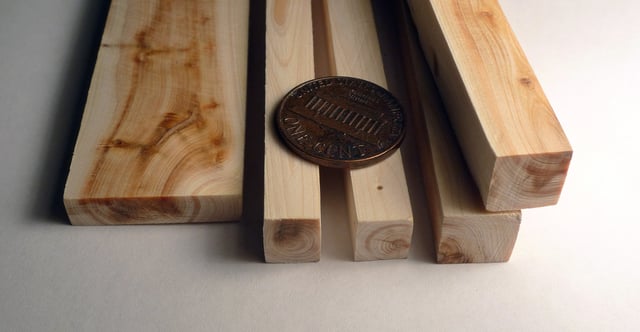 Juniperus communis wood pieces, with a U.S. penny for scale, showing the narrow growth rings of the species.