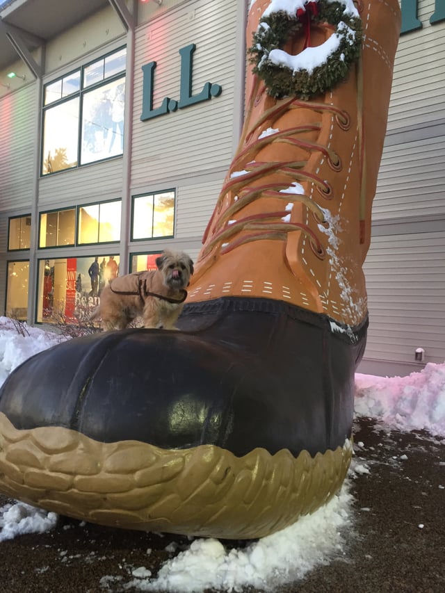 L.L.Bean boot sculpture outside flagship store in Freeport, Maine.