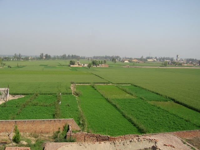 Agriculture in Punjab