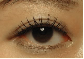 Dark brown iris is common in Europe, Americas, Africa, East Asia and Southeast Asia.