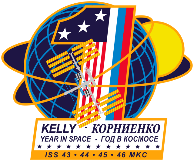 Patch for yearlong mission
