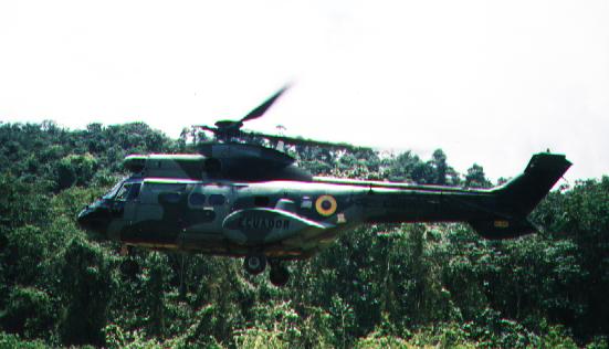 A Puma helicopter from the Army's Aviation Branch