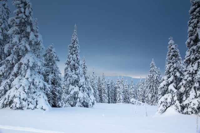 Wooded Ural Mountains in winter