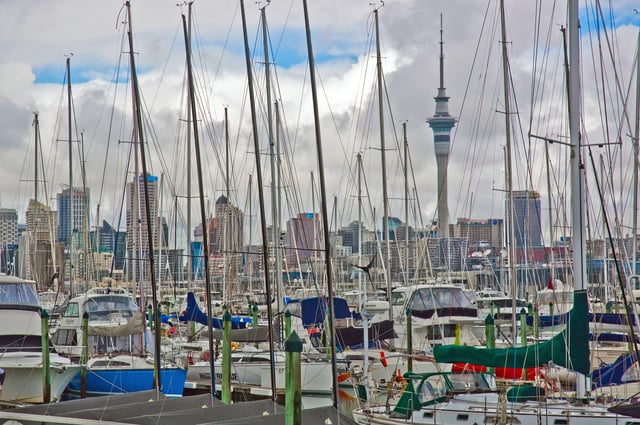 Yachts docked in Westhaven Marina on the Waitematā Harbour