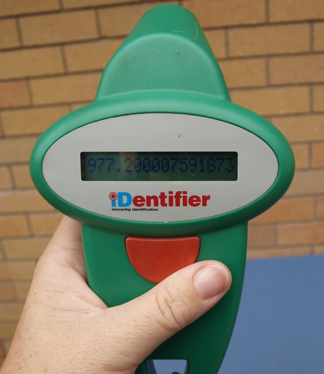 Example of an RFID scanner used with animal microchip implants.