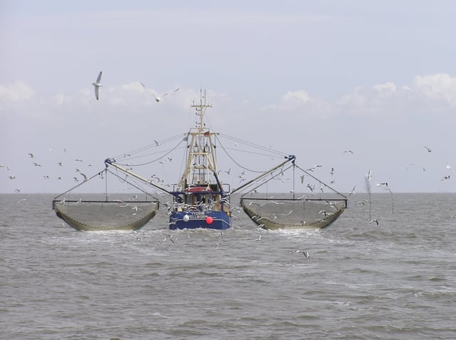 Commercial crab boat working in the North Sea
