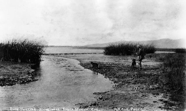 Duck hunting on the Ballona lowlands in what would become Marina del Rey, 1890