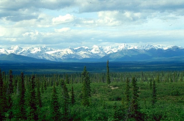 White spruce taiga in the Alaska Range, Alaska, United States