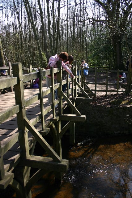 Poohsticks Bridge in Ashdown Forest