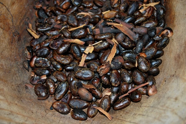 Toasted cacao beans at a chocolate workshop at the La Chonita Hacienda in Tabasco.