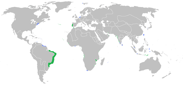 Map of the Dutch and Portuguese Empires following the war. Blue: Dutch Republic. Green: Portugal.