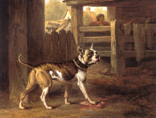 Painting of a Bulldog from 1790 by English artist Philip Reinagle.