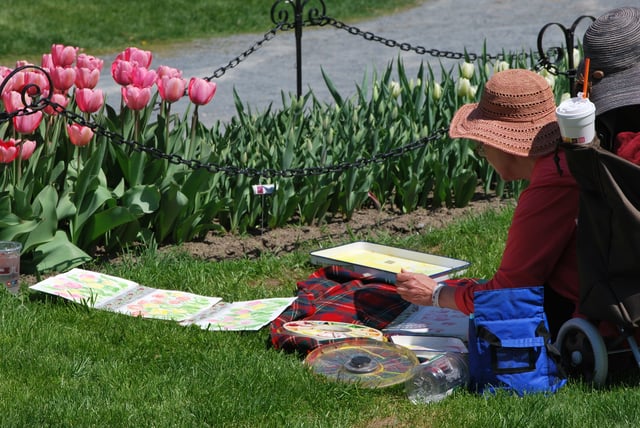 An artist paints tulips during the Tulip Fest at Washington Park.