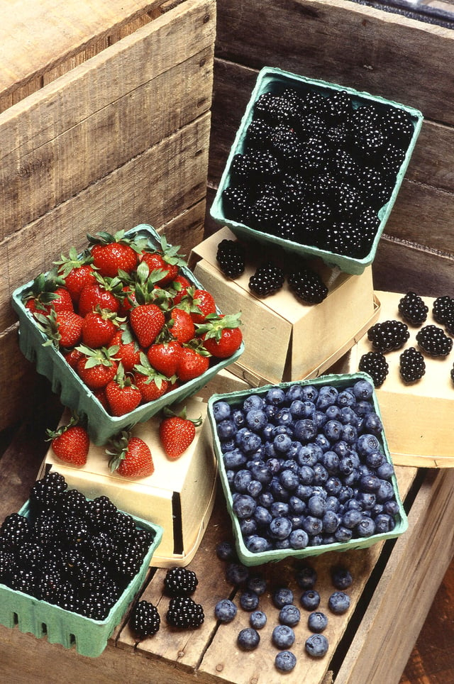 Several types of common "berries"