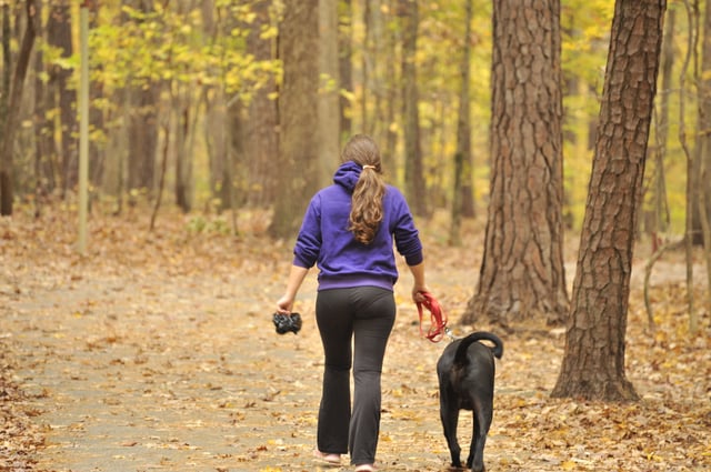 A college student walks her dog at Lake Johnson in the Fall