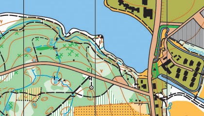 Small section of an orienteering map.