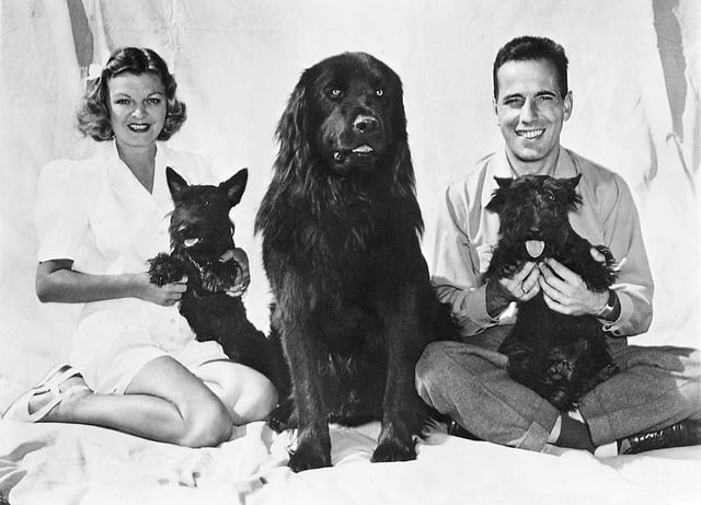 Methot and Bogart with their dogs (1944)
