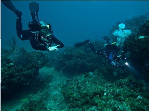 Divers with neutral buoyancy and horizontal trim are less likely to touch or disturb the bottom