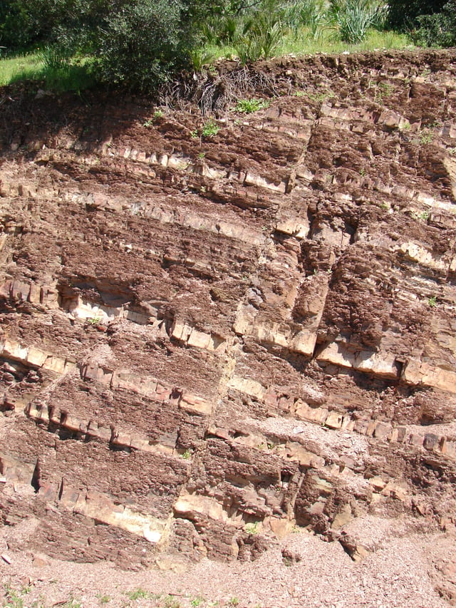 A fault in Morocco.The fault plane is the steeply leftward-dipping line in the centre of the photo, which is the plane along which the rock layers to the left have slipped downwards, relative to the layers to the right of the fault.