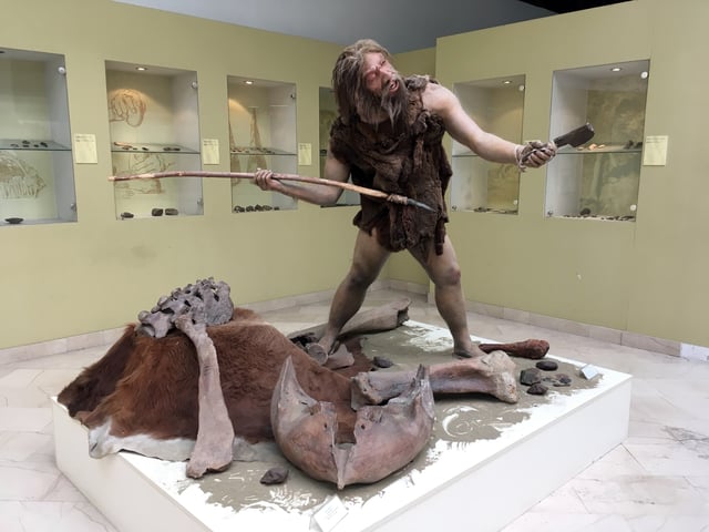 Neanderthal figure representation, Museum of Republika Srpska