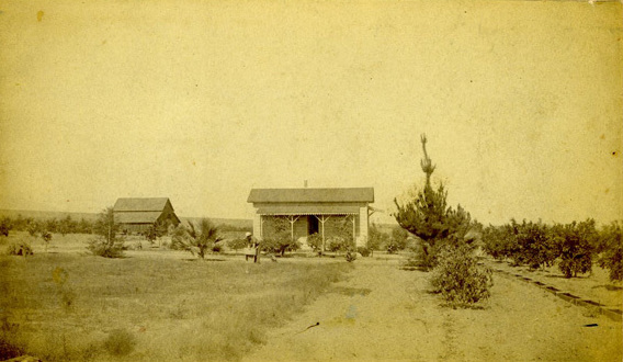 Orchards and farms, such as this Cucamonga ranch photographed in 1884, had dominated the landscape of the area until the land development boom in the late 20th century.