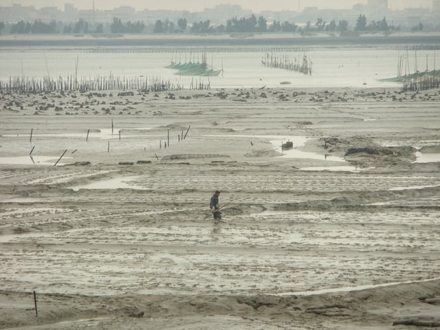 Mud clams, oysters and shrimp are raised in Anhai Bay off Shuitou.
