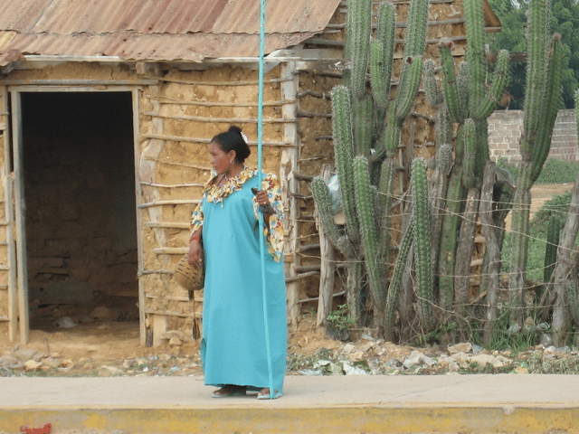 The Wayuu represent the largest indigenous ethnic group in Colombia.