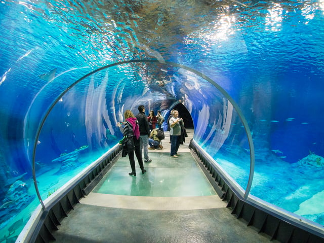 Aquarium in the Zoological Garden in Wrocław