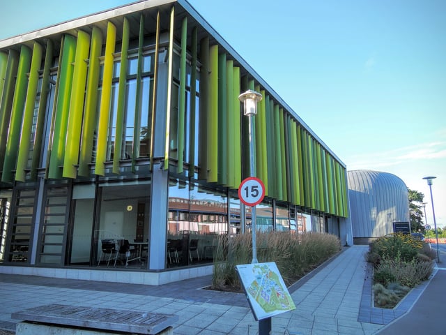 The School of Management
