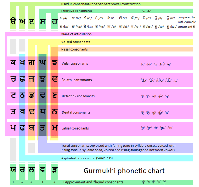 Phonetic organization of the Gurmukhi characters