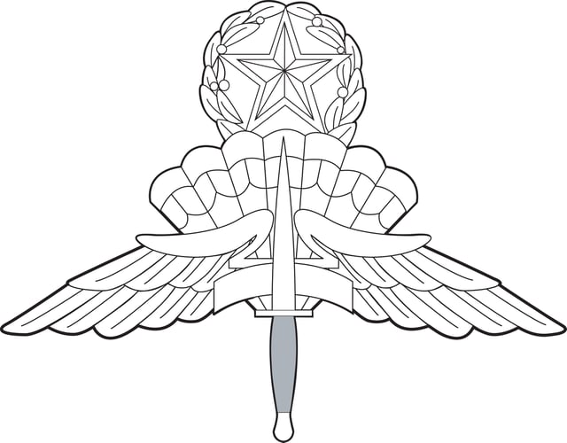 Army & Air Force Master Freefall Parachutist Badge