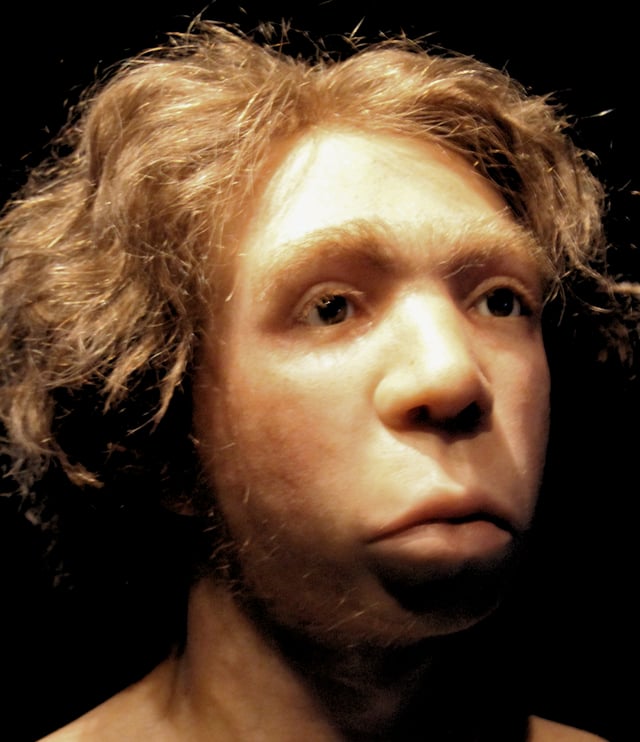 Le Moustier Neanderthal facial reconstitution, Neues Museum Berlin