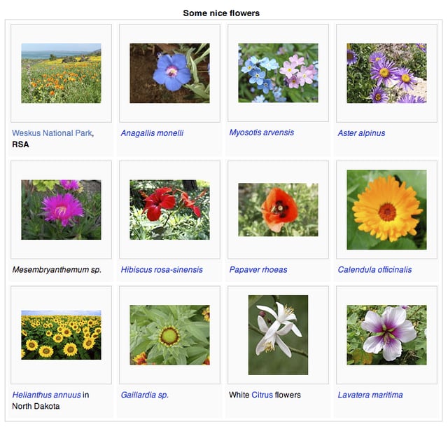 Images can be arranged in galleries, a feature that is used extensively for Wikimedia's media archive, Wikimedia Commons.