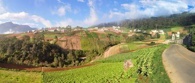 Farmland in the Quetzaltenango Department, in western Guatemala