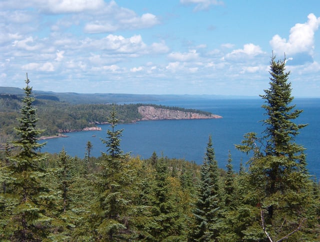 Boreal forest near Shovel Point in Tettegouche State Park, along the northern shore of Lake Superior in Minnesota.