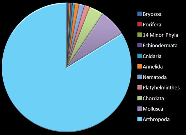 The relative number of species contributed to the total by each phylum of animals