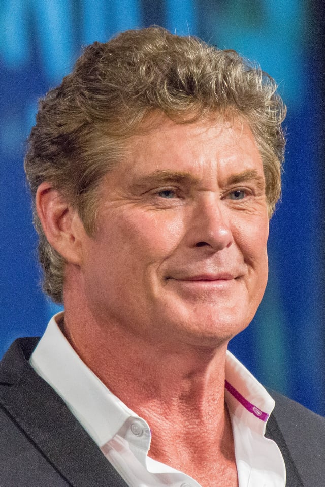 Hasselhoff previously worked as a judge on America's Got Talent, before joining the show for the 2011 series.