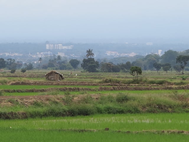 Moshi Town as seen from Lower Moshi rice fields
