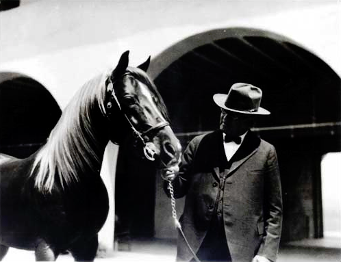 Cal Poly at Pomona stands on the former Arabian horse ranch of cereal magnate W.K. Kellogg.