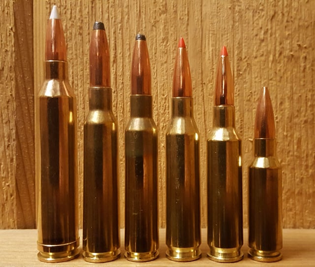 Size comparison of some 6.5 mm cartridges, left to right: .264 Winchester Magnum, 6.5×55mm Swedish, 6.5×52mm Carcano, .260 Remington, 6.5mm Creedmoor, 6.5mm Grendel
