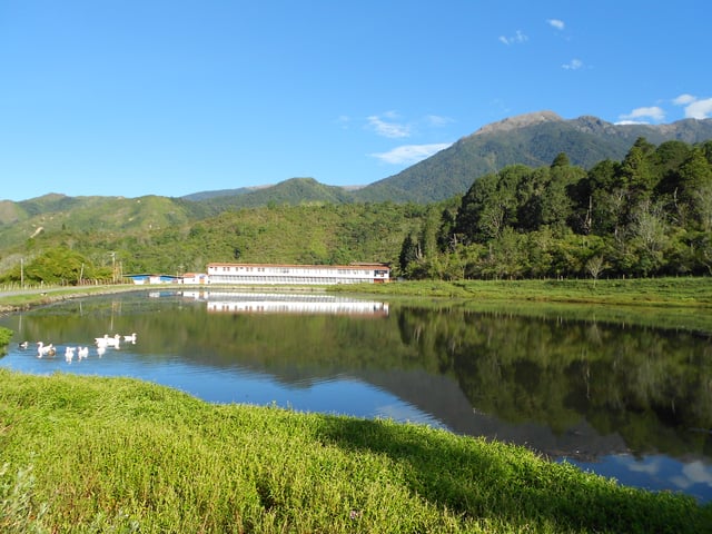 Typical landscape.