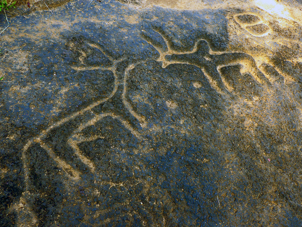 Usgalimal rock engravings