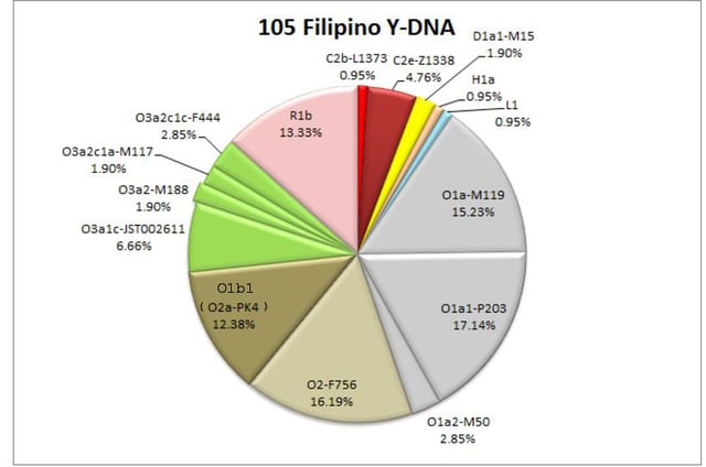 According to the Y-DNA study of Filipino males from the gene bank of the company, Applied Biosystems, most Philippine Y-DNA haplogroups were found to be O1 (O1a) and O2 (O1b1), both of which are common in populations from Southeast Asia as far north as the Yangtze Delta. However, around 13% of the population is confirmed to have the Y-DNA haplogroup R1b, which has spread to the Philippines from Spain and Latin America, and another 13% belong to haplogroup O3 (O2-M122), which is especially common in populations of China. The same Y-DNA study showed an estimated 1% frequency of the South Asian (Indian) haplogroup H1a. Making about an amount of 1 percent of Filipino men having Indian ancestry. Furthermore, a similar 1% frequency of the Haplogroup I1 which is of Nordic European origin makes another 1 percent of Filipino men, of Nordic ancestry. The above circular statistical graphic incorrectly reads "L1" (in one of its Haplogroup indentifications), when it should be "I1" .