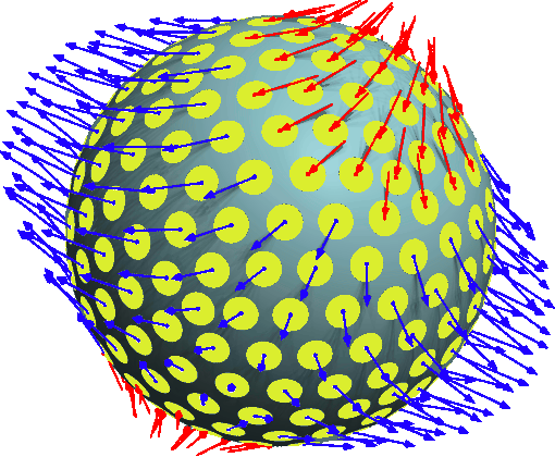 Illustration of typical stresses (arrows) across various surface elements on the boundary of a particle (sphere), in a homogeneous material under uniform (but not isotropic) triaxial stress. The normal stresses on the principal axes are +5, +2, and −3 units.