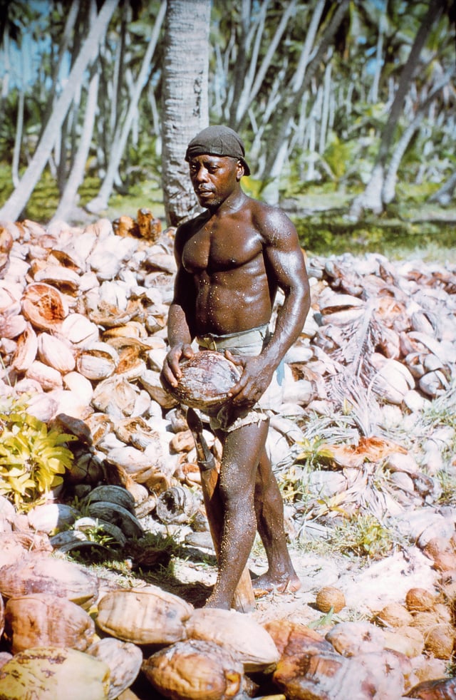 An unnamed Chagossian on Diego Garcia in 1971 shortly before the British expelled the islanders when the island became a U.S. military base. The man spoke a French-based creole language and his ancestors were most likely brought to the inhabited island as slaves in the 19th century.
