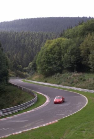 Adenauer Forst